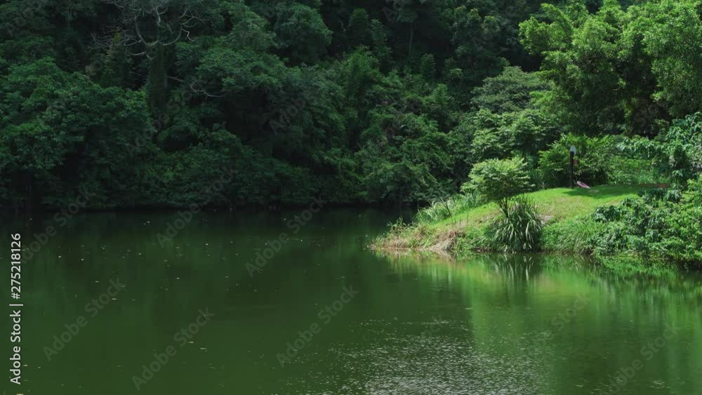 The beautiful lake reflection in the mountain. Natural and peaceful forest during the vacation in Taiwan, 4K, UHD. The beautiful lake reflection in the mountain. Natural and peaceful forest during the vacation in Taiwan, 4K, UHD.