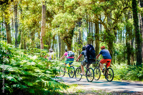 groupes de cyclistes dans la forêt des Landes