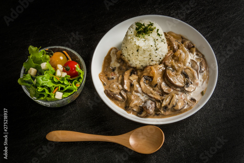 ロシア料理ストロガノフ Russian style stew (stroganoff) photo