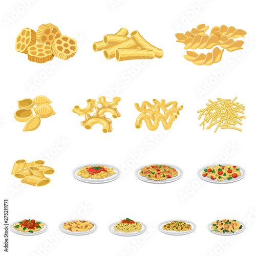 Vector illustration of pasta and carbohydrate icon. Set of pasta and macaroni stock symbol for web.