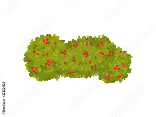 Bushes in line with jagged edges. View from above. Vector illustration on white background.