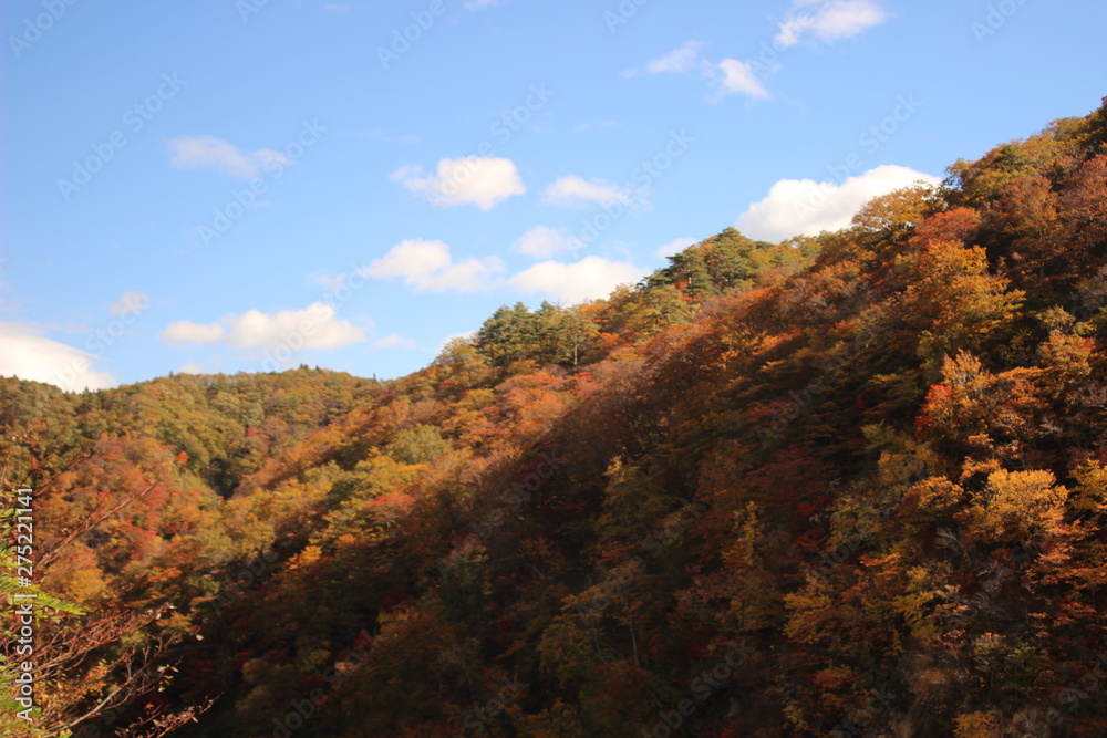 鳴子峡 紅葉 鳴子峡 紅葉