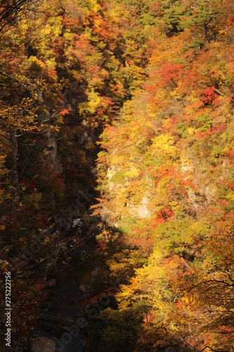 鳴子峡　紅葉