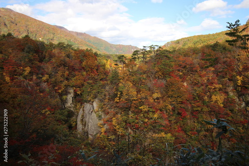 鳴子峡　紅葉