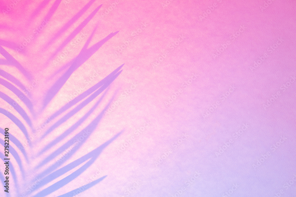 Shadow of palm leaf in trendy duotone backlight. Abstract background in pink lilac neon colors