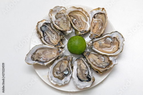 Oysters Plate