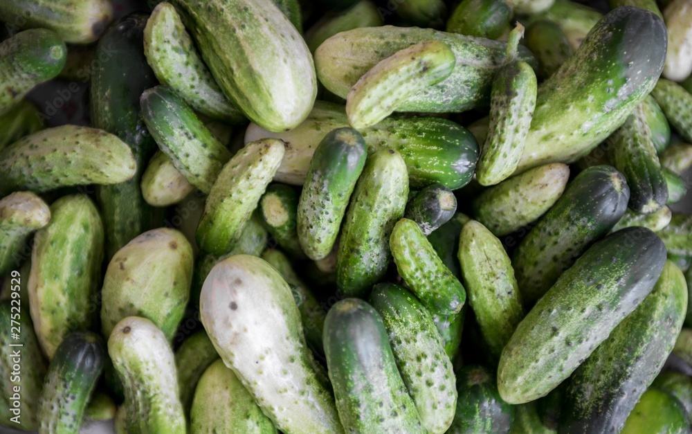 cucumbers top view. cucumber vegetable from above cucumbers top view. cucumber vegetable from above