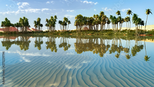 Tableau sur toile Palm trees near oasis in Africa 3d rendering