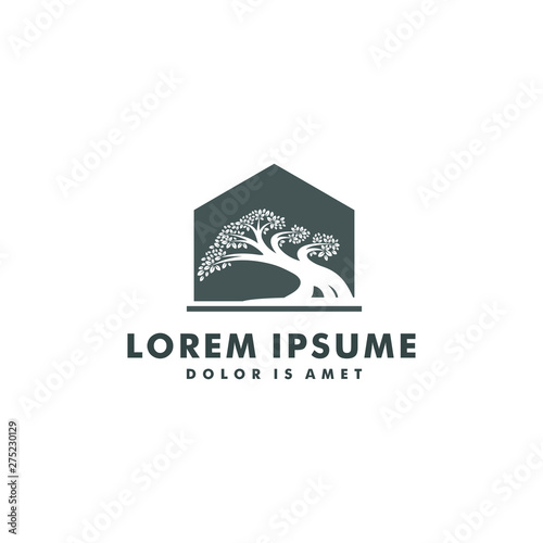 tree logo template. bonsai design icon symbol - vector