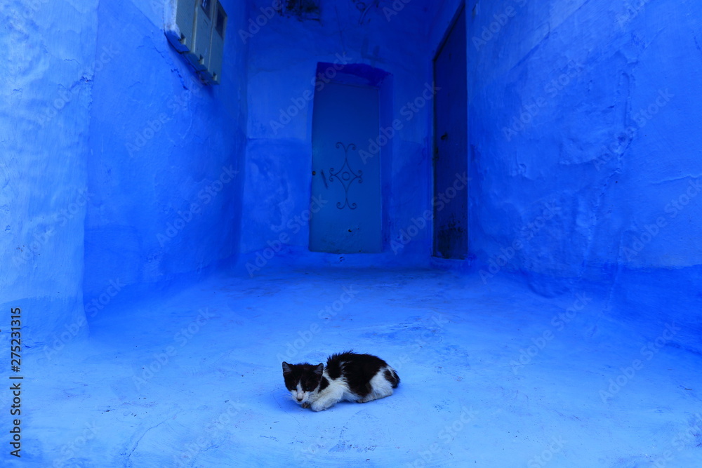 Blue street walls of the popular city of Morocco, Chefchaouen. Traditional moroccan architectural details. 