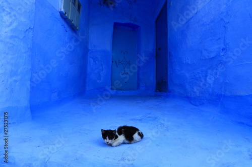 Obraz na płótnie Blue street walls of the popular city of Morocco, Chefchaouen. Traditional moroccan architectural details. w salonie