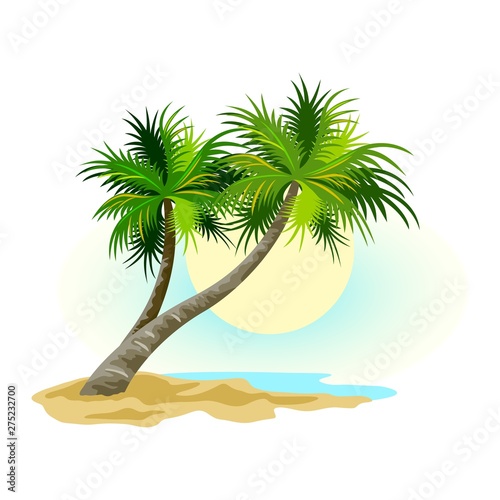 Tropical landscape with sunny sky, palm trees on beach. Summer vacations in tropics with plants, ocean or sea waves, sand resort. Vector clipart isolated on white for tourist, travel projects.