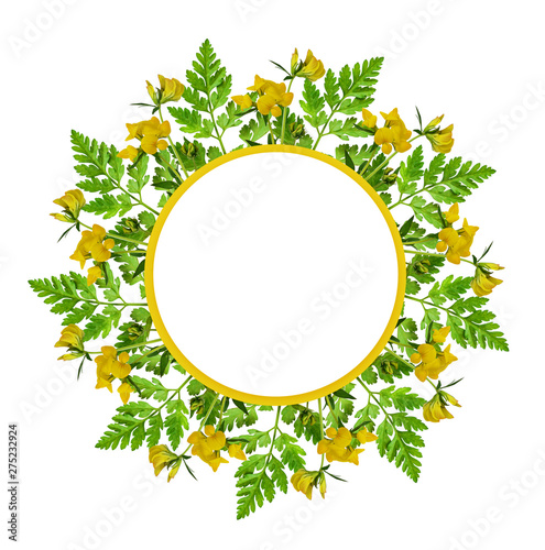 Wild flowers and leaves in ...