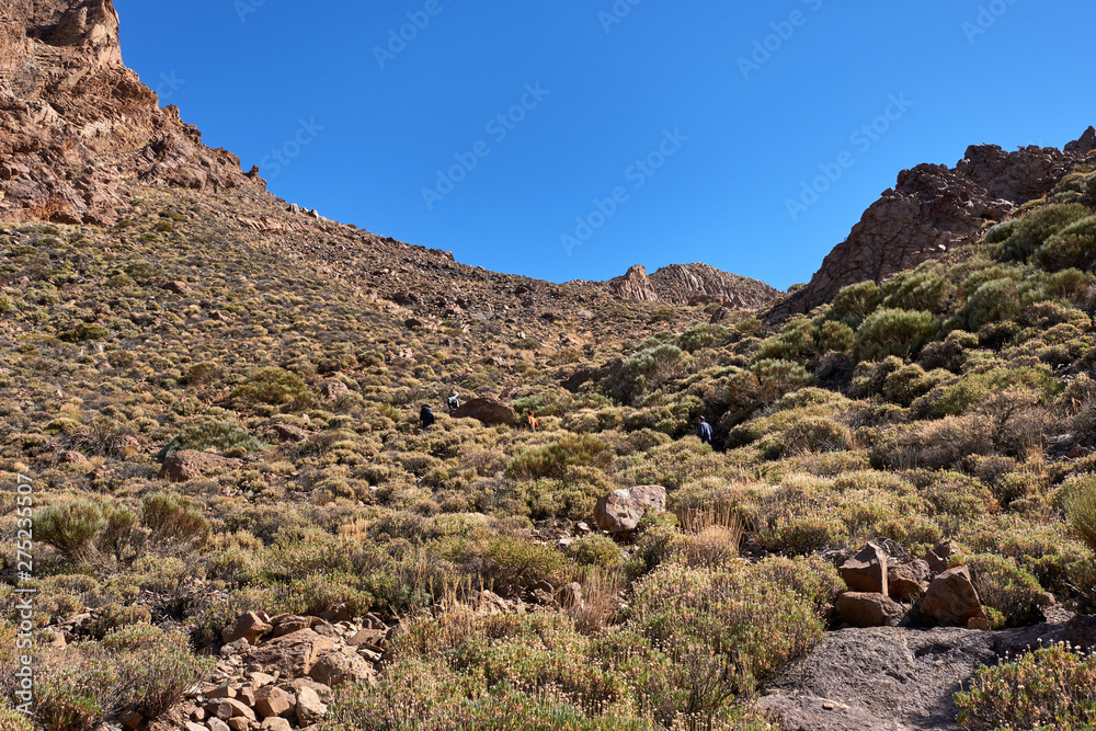 Teide National Park Roques de Garcia in Tenerife at Canary Islands