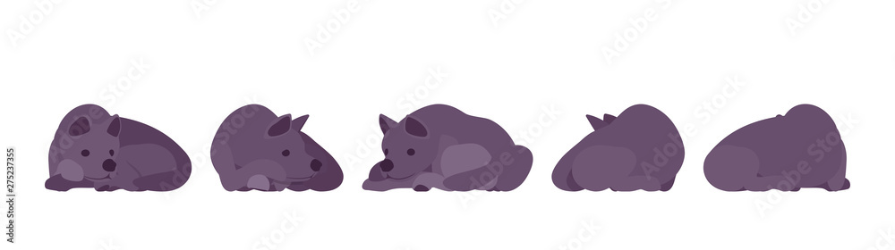 Black dog sleeping. Medium size compact pet, family companion for active fun, home guarding, farm security, cute agile breed. Vector flat style cartoon illustration, white background, different views Black dog sleeping. Medium size compact pet, family companion for active fun, home guarding, farm security, cute agile breed. Vector flat style cartoon illustration, white background, different views
