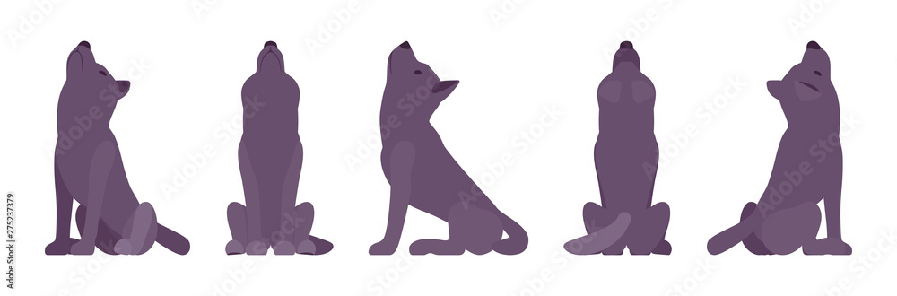 Black dog howling. Medium size compact pet, family companion for active fun, home guarding, farm security, cute agile breed. Vector flat style cartoon illustration, white background, different views