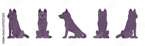 Black dog sitting. Medium size compact pet, family companion for active fun, home guarding, farm security, cute agile breed. Vector flat style cartoon illustration, white background, different views