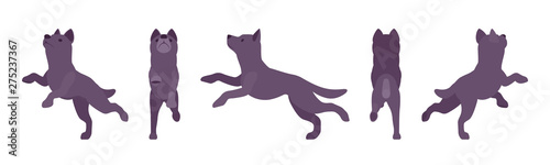 Black dog jumping. Medium size compact pet  family companion for active fun  home guarding  farm security  cute agile breed. Vector flat style cartoon illustration  white background  different views