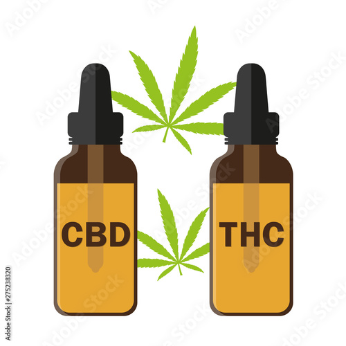 cbd and thc cannabis oil phial vector illustration EPS10