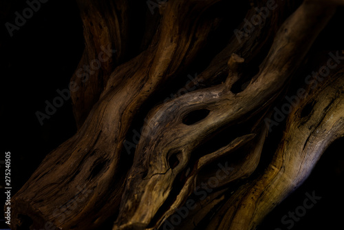 The nature of old and decayed wood creates beautiful wood patterns from the nature created.