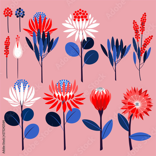 Geometric of protea flowers and botanical plants. Vector ornamental symbols in vector