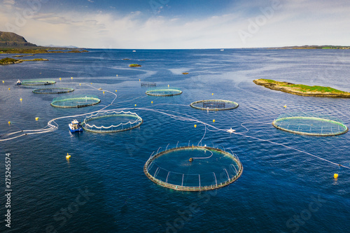 Salmon fish farm in Norway fjord photo