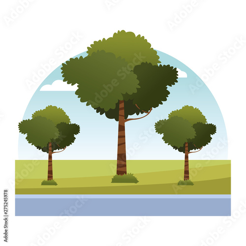 Fototapeta Naklejka Na Ścianę i Meble -  leafy trees icon cartoon isolated