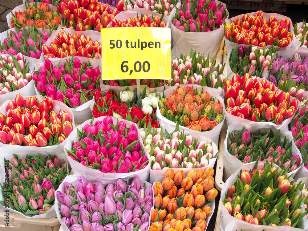 Tulips for sell
