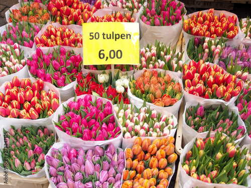 Wallpaper Mural Tulips for sell Torontodigital.ca