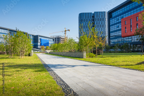 Green grass field, pedestrian road and coconut trees at the city park beside the sea. Modern building background