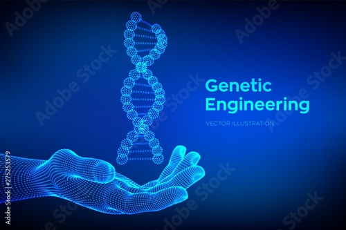DNA sequence in hand. Wireframe DNA molecules structure mesh. DNA code editable template. Science and Technology concept. Vector illustration.