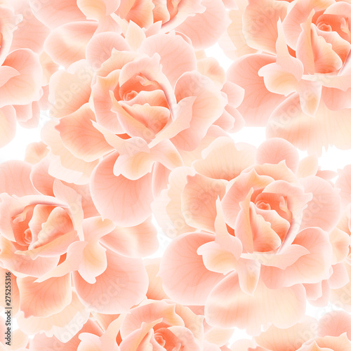 Beautiful seamless pattern with Rose. Vector illustration. EPS 10
