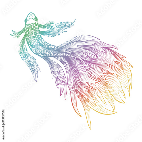 Hand drawn of fish isolated. Vector illustration. EPS 10