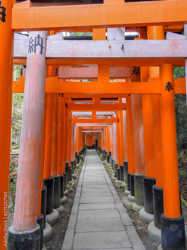 A Tunnel of Torii Gates