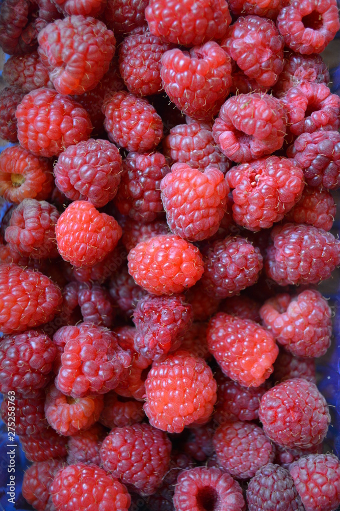 red raspberry berry in the garden market red raspberry berry in the garden market