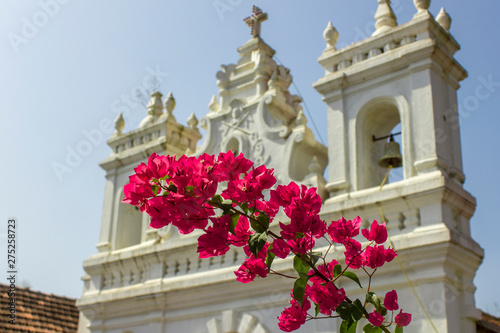 bright fresh green leaves and pink tropical flowers on a branch against a blurred background of a white Catholic church under a clear blue sky