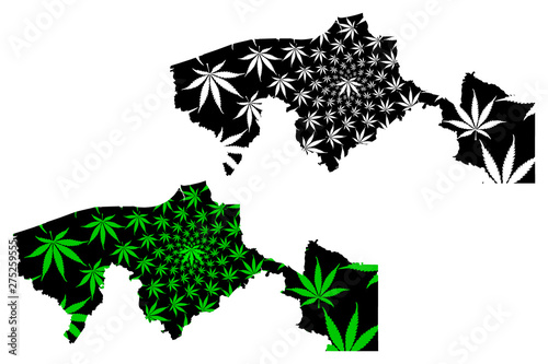 Tabasco (United Mexican States, Mexico, federal republic) map is designed cannabis leaf green and black, Free and Sovereign State of Tabasco map made of marijuana (marihuana,THC) foliage