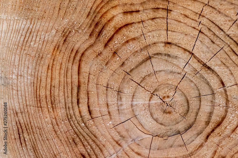 Naklejka premium 材木