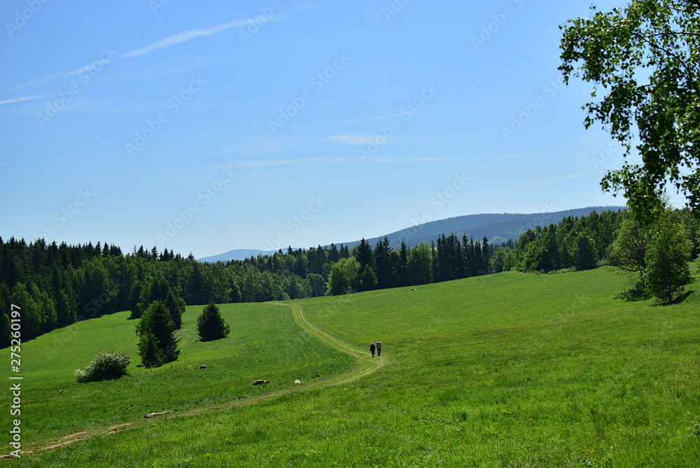 tourist on the trail in the mountains, Rychlebské hory, Złote mountains tourist on the trail in the mountains, Rychlebské hory, Złote mountains