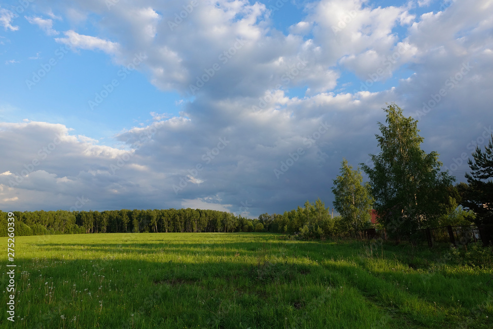 Beautiful landscape. Green field and cloudy sky. Central Russia. Moscow region