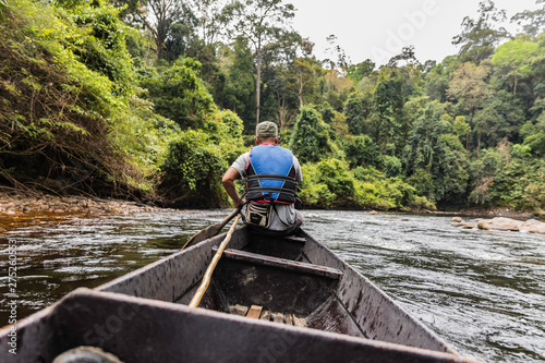 Taman Negara rainforest, Malaysia photo