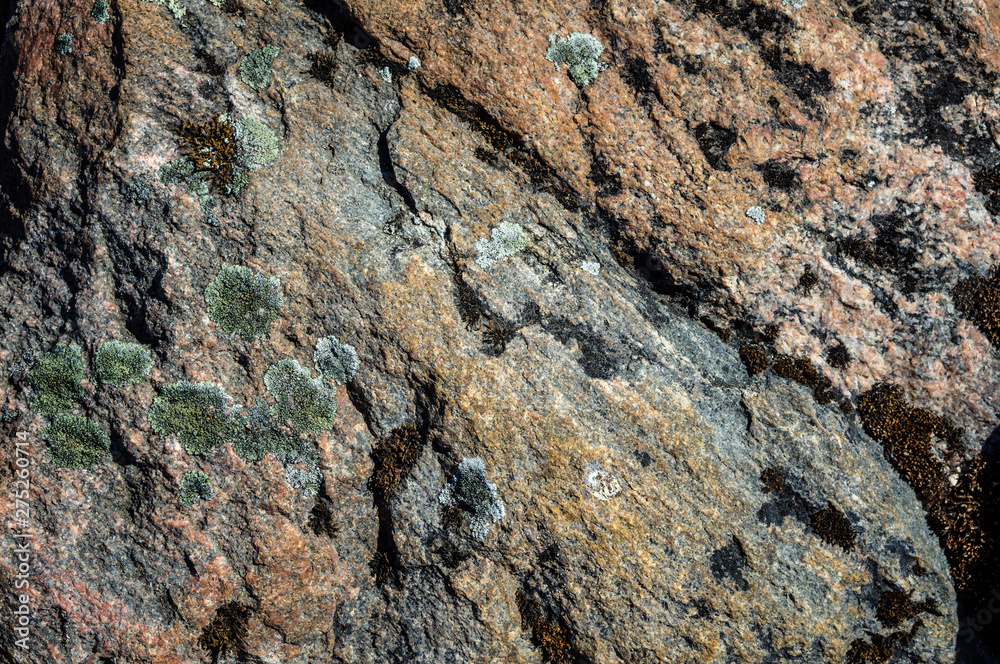 Texture of wild natural stone Texture of wild natural stone