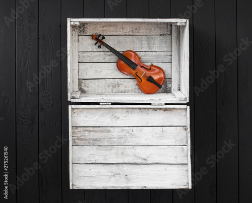 violin in a white wooden box © serikbaib