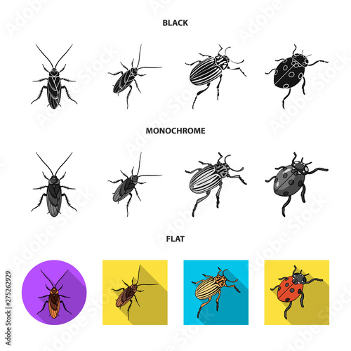Vector design of insect and beetle sign. Collection of insect and halloween vector icon for stock. © pandavector