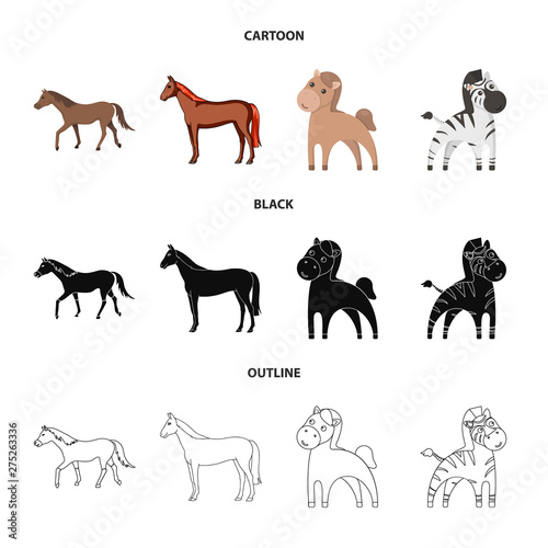 Vector design of trot and running symbol. Set of trot and clipart stock symbol for web.