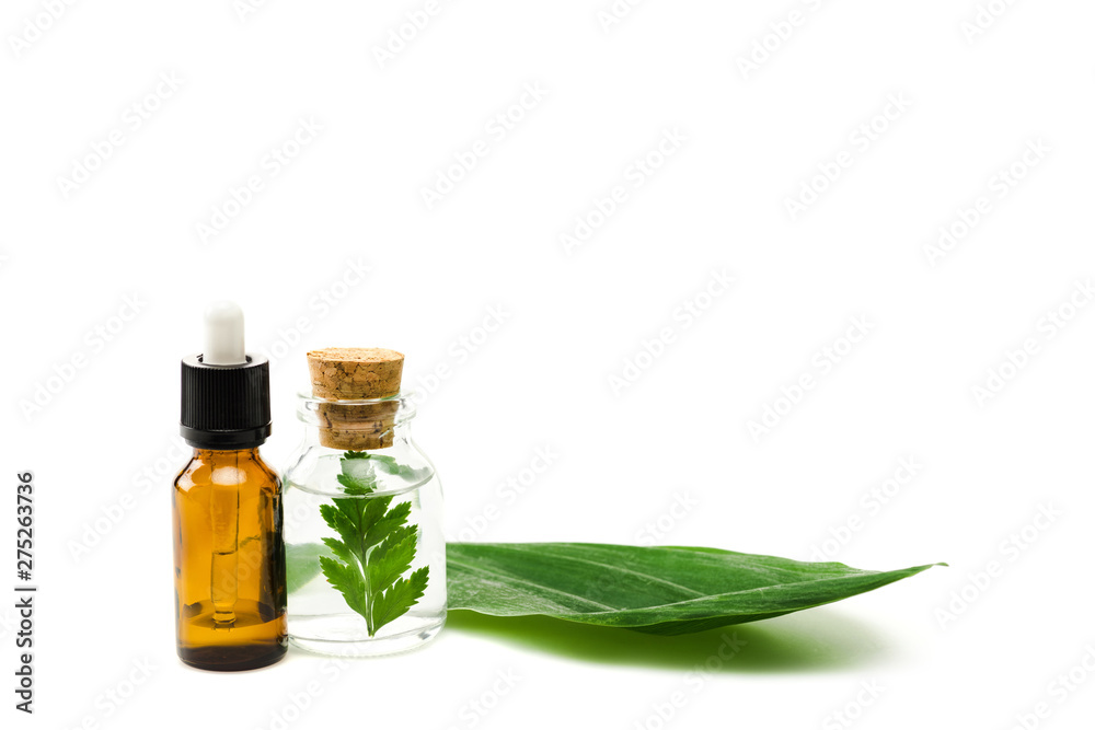 bottles with liquid near green fresh leaf isolated on white bottles with liquid near green fresh leaf isolated on white