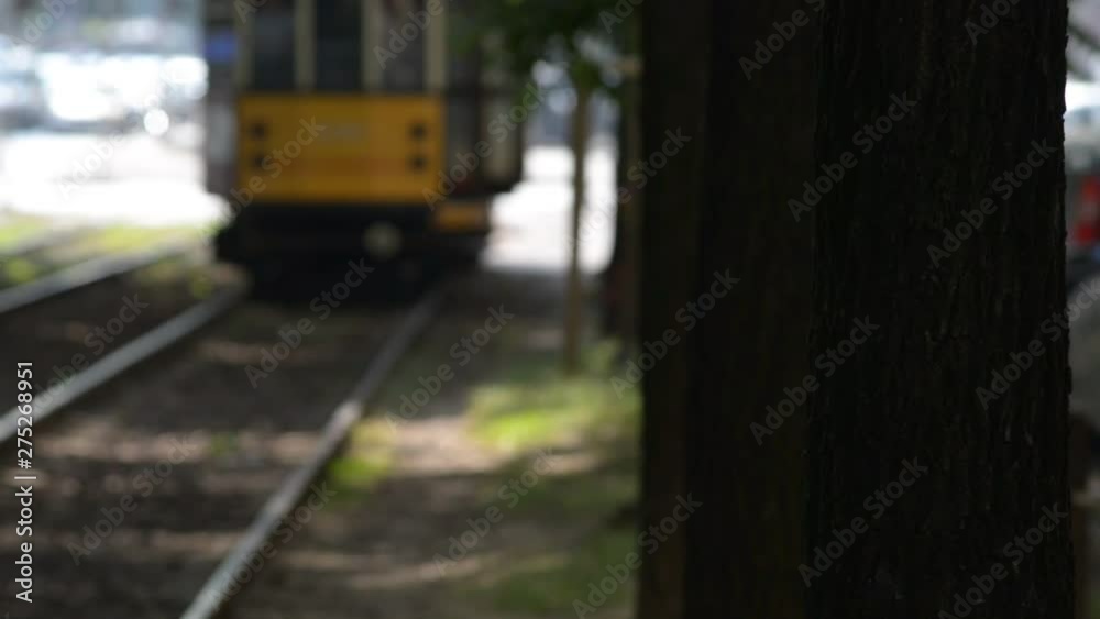typical Milan tram Arrive through a tree-lined street in the center of Milan typical Milan tram Arrive through a tree-lined street in the center of Milan