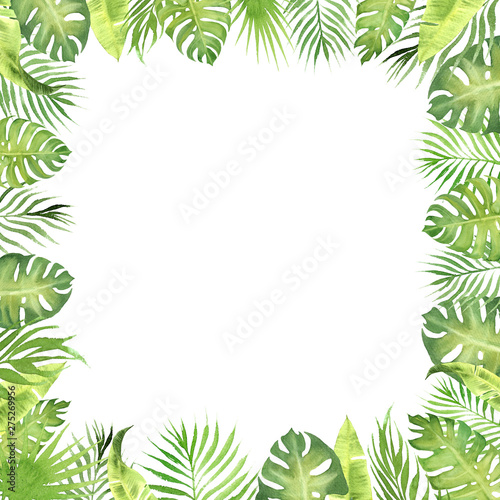 hand painted watercolor border frame green tropical leaves. monstera  palm tree leaves  banana plant leaves. empty space for text. template for design wedding invitation  greeting card