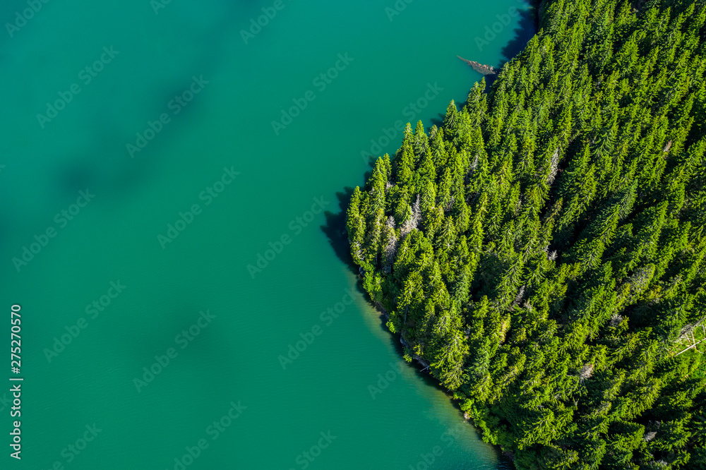 Aerial view of a forest lake. Aerial view of blue lake and green ...