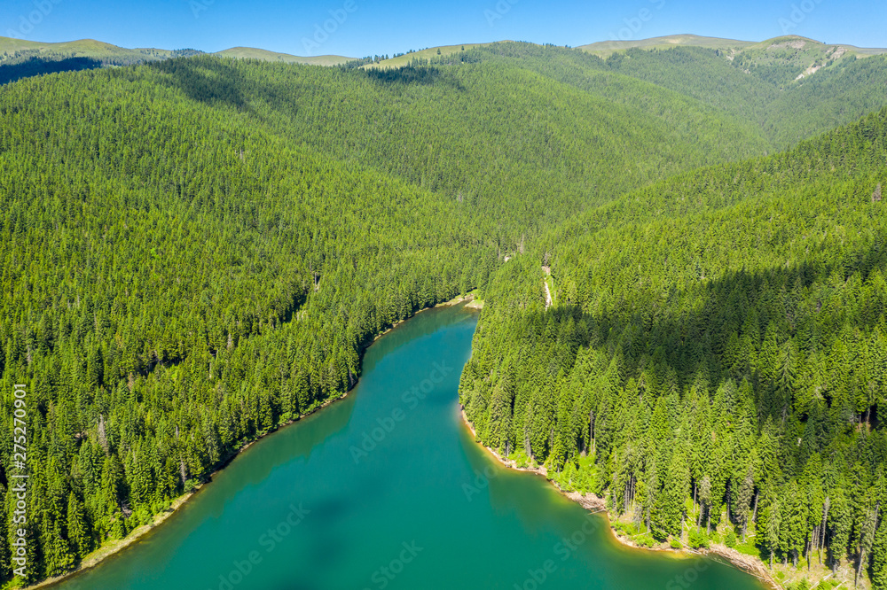 Fototapeta premium Mountain forest lake landscape. Aerial view. View on the turquoise color lake between mountain forest. Over beautiful turquoise mountain lake and green forest. National park. Green pine and fir trees